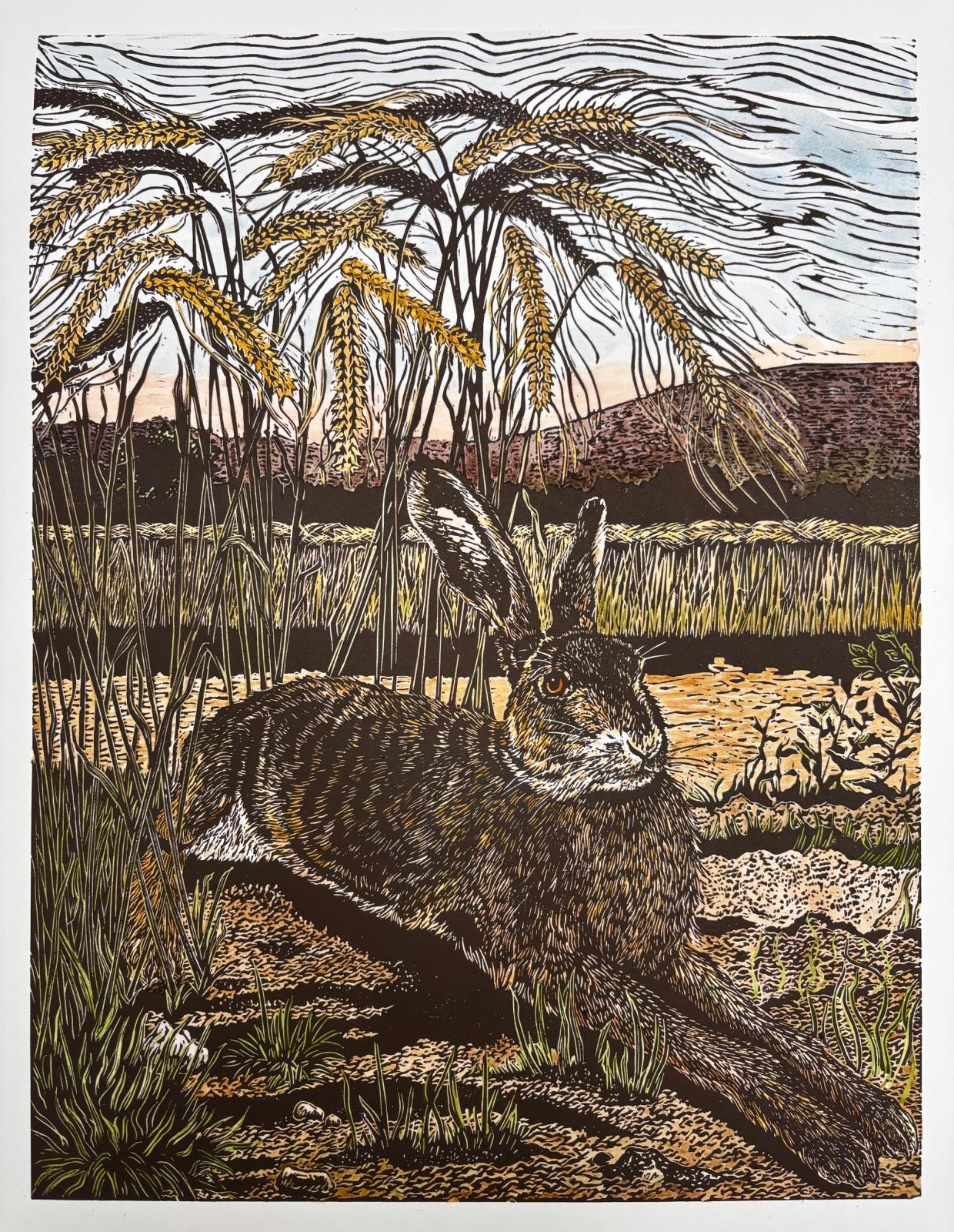 Edge of the Barley Field